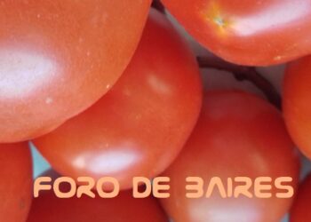 ¿Qué aportes posee el tomate en la vida del ser humano?
