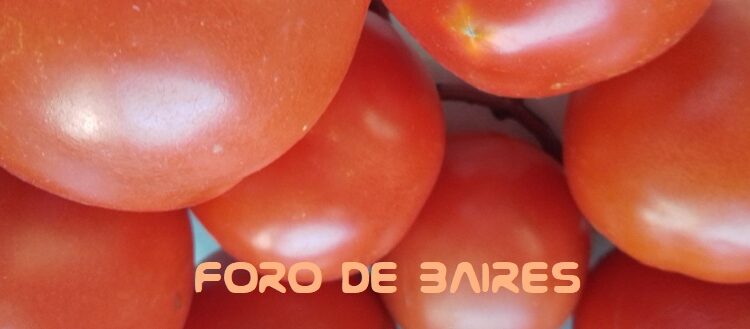¿Qué aportes posee el tomate en la vida del ser humano?