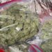 Cayó la sociedad narco que vendía droga por Telegram