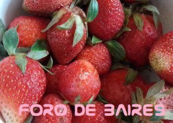 ¿Las frutillas o fresas rompen el mito de la buena fama?