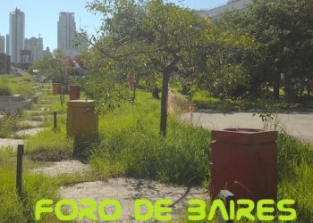 Reabrió el Parque de las Ciencias luego de un brote de dengue