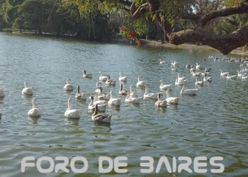 Una vuelta por el Parque Tres de Febrero, pulmón ver de Palermo