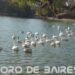 Una vuelta por el Parque Tres de Febrero, pulmón ver de Palermo