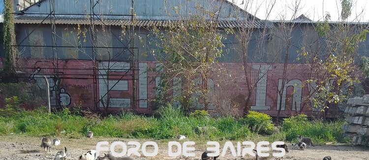 Cómo se transmite el dengue y cómo prevenirlo