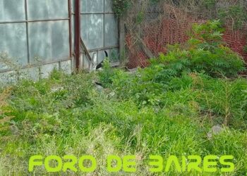 El dengue avanza en la sociedad y es necesario estar informado