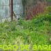 El dengue avanza en la sociedad y es necesario estar informado