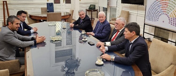 CAME se reunió con el presidente de la Cámara baja, Martín Menem, y con el diputado Gabriel Bornoroni