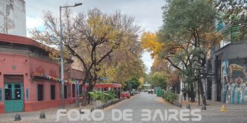 Otoño en Palermo y una fiesta de hojas amarillas