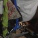 Un cartonero robó una motocicleta y ruedas de un Clío color negro