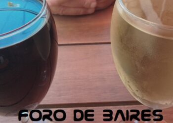 Habrá degustación de vinos, «World Whisky day» y «Vinofest Buenos Aires» en Palermo