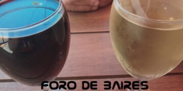 Habrá degustación de vinos, «World Whisky day» y «Vinofest Buenos Aires» en Palermo