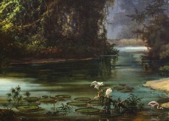 Se expone «Visiones de Sudamérica por dos artistas viajeros del siglo XIX» en los museos Enrique Larreta y Fernández Blanco