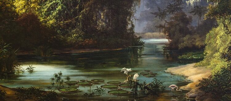 Se expone «Visiones de Sudamérica por dos artistas viajeros del siglo XIX» en los museos Enrique Larreta y Fernández Blanco
