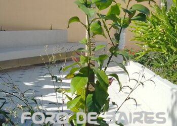 El Patio de Marruecos en Palermo, ya está casi listo para inaugurarse