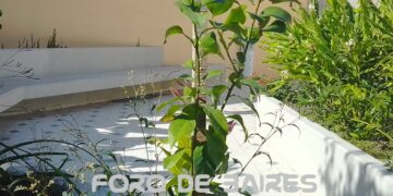 El Patio de Marruecos en Palermo, ya está casi listo para inaugurarse