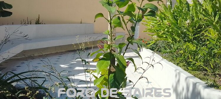 El Patio de Marruecos en Palermo, ya está casi listo para inaugurarse