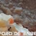 Milanesas con ensalada rusa, la combinación casi perfecta para compartir con familia o amigos