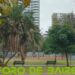El Parque Las Heras se viste de invierno y frío  pero seduce por su  amplitud y encanto en las Avenidas Las Heras y Coronel Díaz