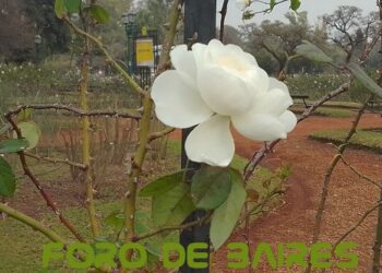 El Jardín de Rosas también brilla en Otoño por su belleza natural