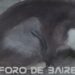 ¿Cómo cambia un gato después de ser castrado?