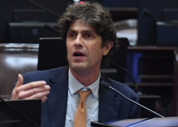 Financiamiento universitario: Martín Lousteau cree que “el presidente no se va a animar a vetarlo”