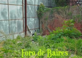 Prevención y algunas dudas sobre el dengue: vacunación y fechas