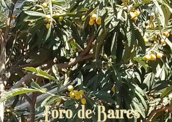 Baja la confianza del campo y el 65% de los productores decide no invertir por la incertidumbre macroeconómica, entre otras causas
