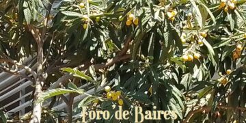 Baja la confianza del campo y el 65% de los productores decide no invertir por la incertidumbre macroeconómica, entre otras causas
