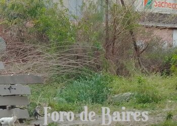 El Gobierno porteño continúa con la campaña del Dengue