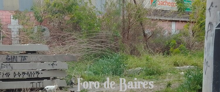 El Gobierno porteño continúa con la campaña del Dengue