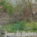 El Gobierno porteño continúa con la campaña del Dengue