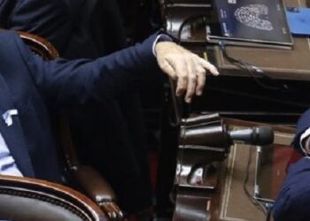 Los diputados que estudiaron en la universidad pública y votaron a favor del veto de Javier Milei