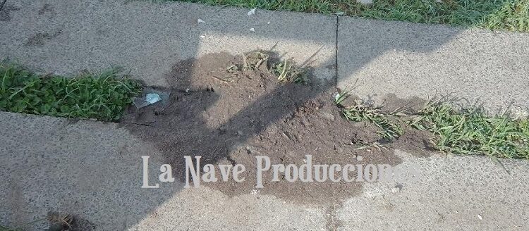 Ya quedó tapado el cable suelto de alta tensión en el Parque Ferroviario