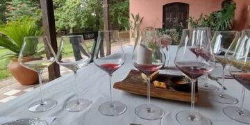 Qué son los vinos “aéreos” y por qué cada vez hay más