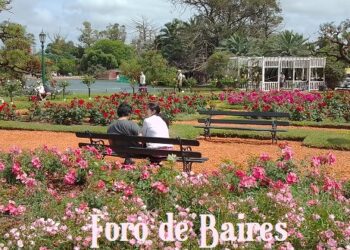 El jardín de rosas en Noviembre siempre es un buen plan para alcanzar la armonía interior