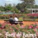 El jardín de rosas en Noviembre siempre es un buen plan para alcanzar la armonía interior