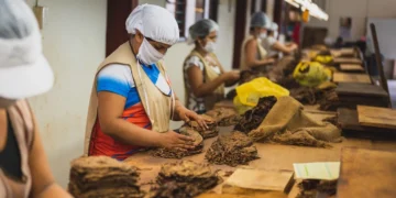 Entre enero y noviembre de 2024, las exportaciones de las pymes crecieron 21,7% en dólares y 27,5% en toneladas