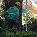 Continúa el plan de prevención y vacunación contra el dengue