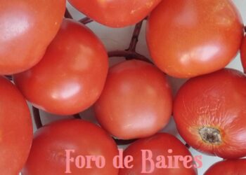 Las 12 frutas y verduras que más pesticidas contienen