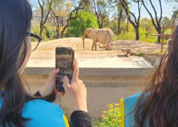 Ecoparque y Dejá tus rueditas, son dos muy buena propuestas para el verano porteño