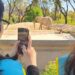 Ecoparque y Dejá tus rueditas, son dos muy buena propuestas para el verano porteño