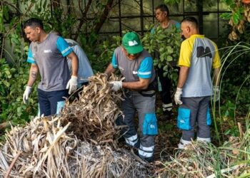 Higienización, desratización y prevención del dengue en baldíos y casas abandonadas: cómo funciona el servicio que cuida la salud pública en la Ciudad
