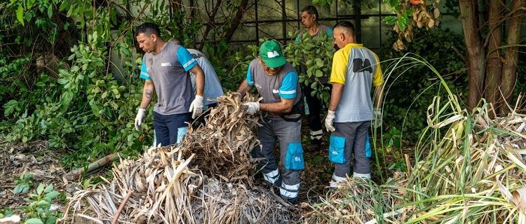 Higienización, desratización y prevención del dengue en baldíos y casas abandonadas: cómo funciona el servicio que cuida la salud pública en la Ciudad