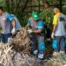 Higienización, desratización y prevención del dengue en baldíos y casas abandonadas: cómo funciona el servicio que cuida la salud pública en la Ciudad