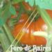 La Plazoleta «Luna de Enfrente» se pobló de tomates y flores