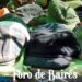 Las ventas minoristas pyme subieron 17,7% interanual en diciembre