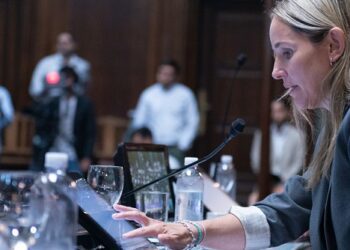 La Legislatura aprobó la suspensión de las PASO en Sesión Extraordinaria