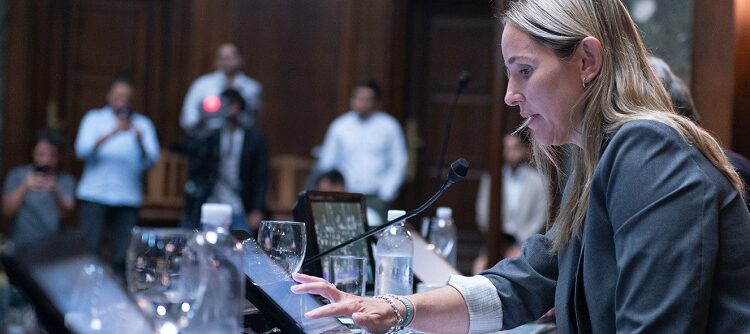 La Legislatura aprobó la suspensión de las PASO en Sesión Extraordinaria