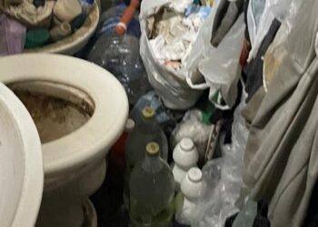 Rescatan más de 50 animales en condiciones de hacinamiento en Balvanera