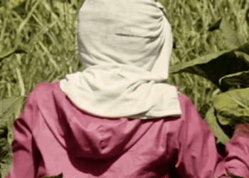Mujeres del Tabacal, un documental de Belén Revollo